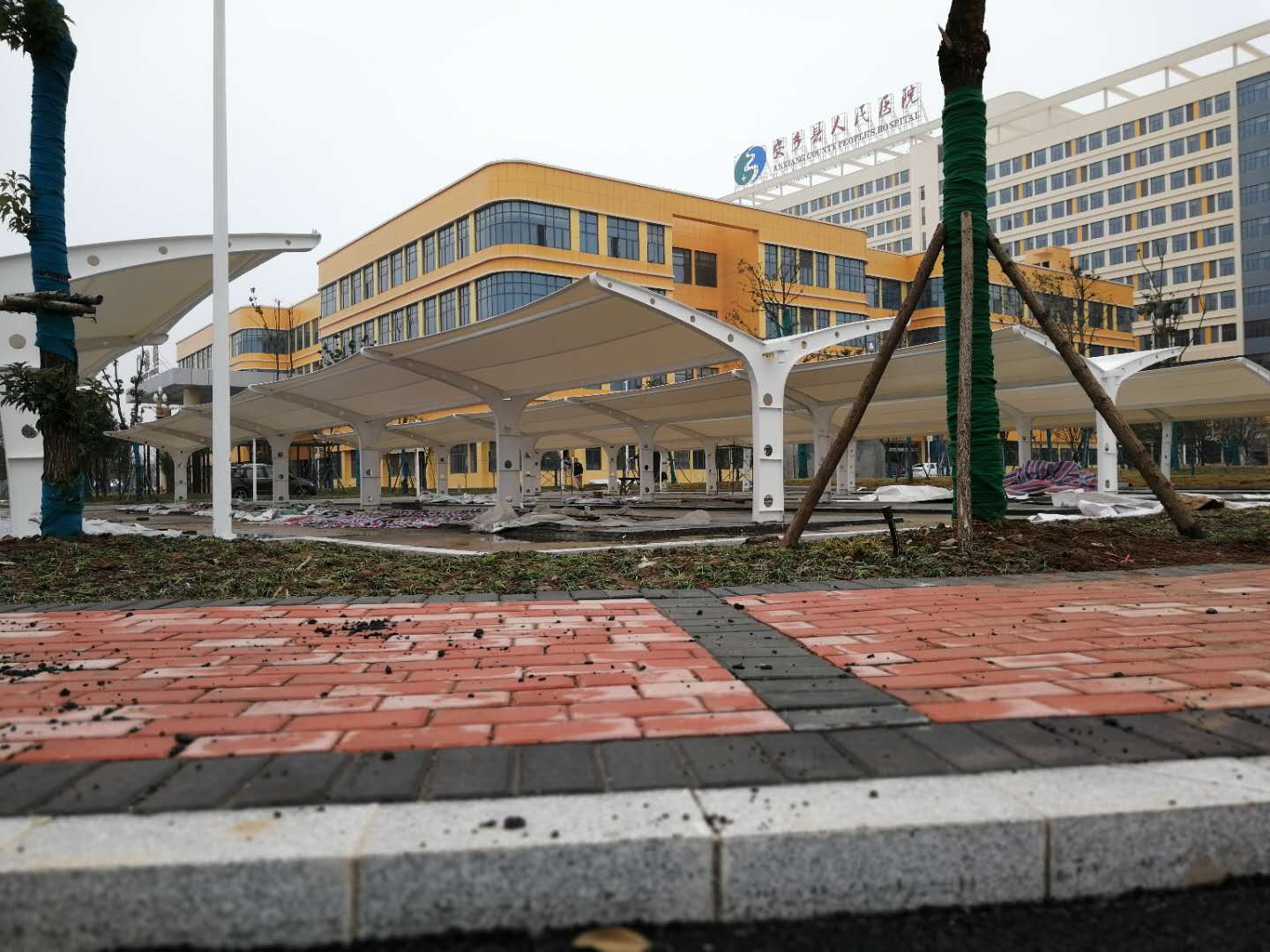 常德安乡县人民医院救护车停车棚膜结构(图2)