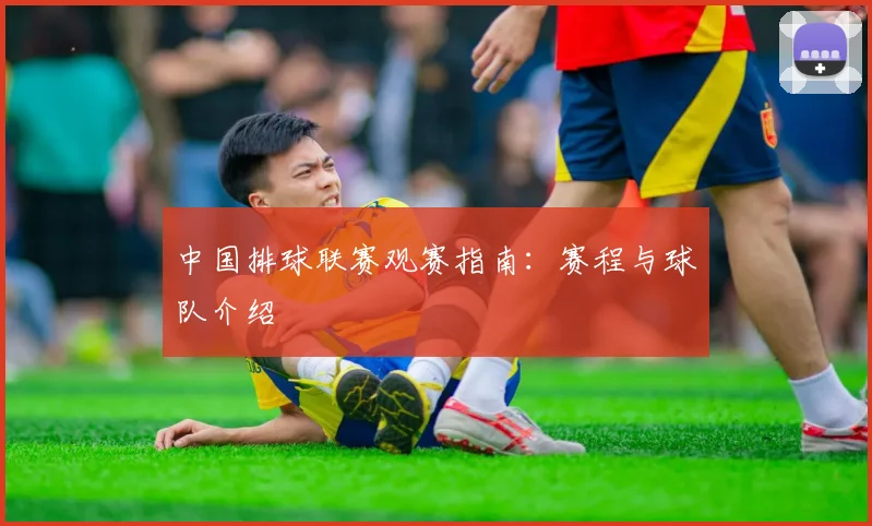 开云app登录